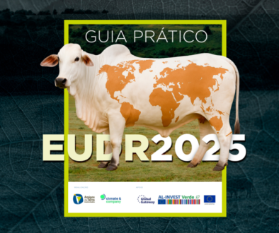 Guia EUDR Capa guia EUDR