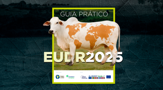 Capa guia EUDR